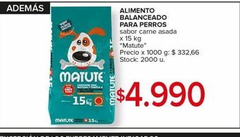 Carrefour Maxi Alimento balanceado para perros matute 15kg oferta