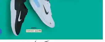 Coppel Amixa oferta