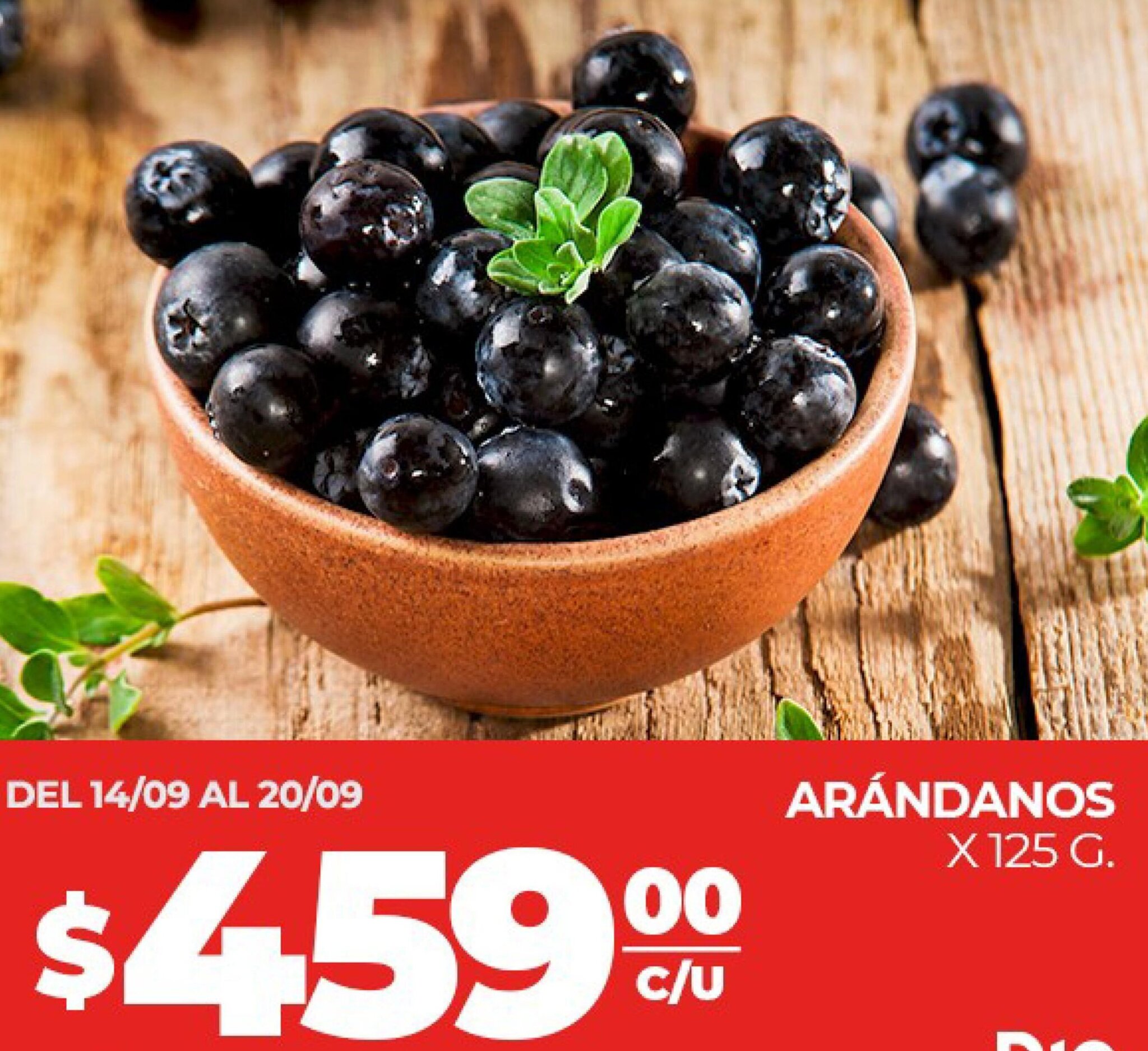Supermercados DIA ARÁNDANOS X 125 G oferta