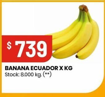 Changomas Banana ecuador x kg oferta