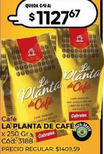 Diarco LA PLANTA DE CAFÉ Café x 250 Gr oferta
