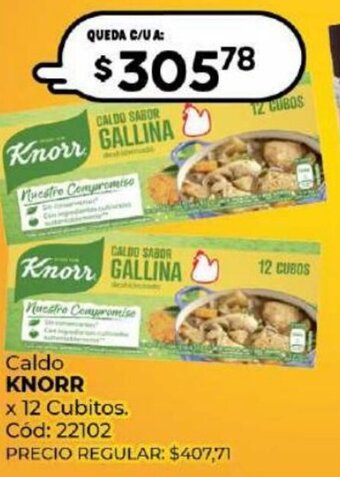 Diarco KNORR Caldo x 12 Cubitos oferta