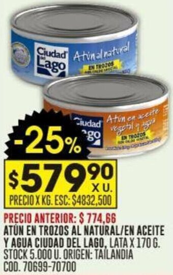 Coto ATÚN EN TROZOS AL NATURAL/EN ACEITE Y AGUA CIUDAD DEL LAGO, LATA X 170 G oferta