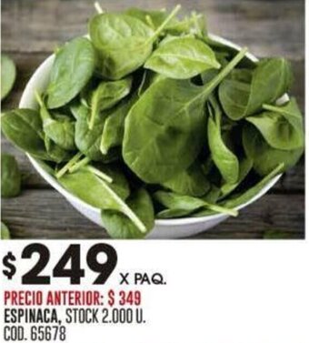 Coto ESPINACA oferta