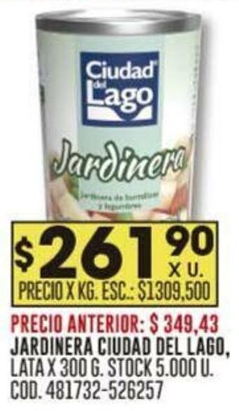 Coto JARDINERA CIUDAD DEL LAGO LATA X 300 G oferta