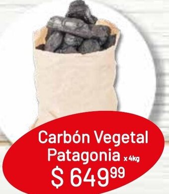Makro Carbón Vegetal Patagonia x 4kg oferta