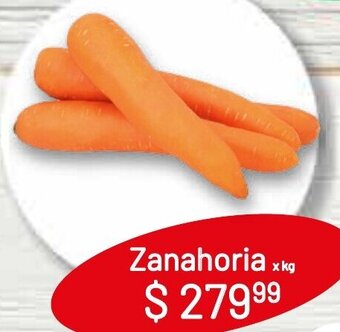 Makro Zanahoria x kg oferta