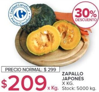 Carrefour ZAPALLO JAPONÉS X KG. oferta