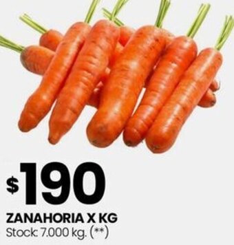 Changomas ZANAHORIA X KG oferta