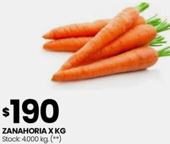Changomas ZANAHORIA X KG oferta