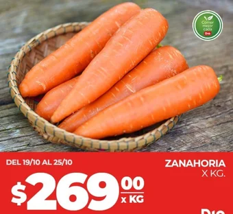 Supermercados DIA ZANAHORIA X KG oferta