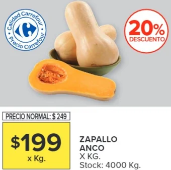 Carrefour ZAPALLO ANCO X KG oferta