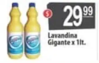 Autoservicio Capo Lavandina Gigante x 1lt oferta