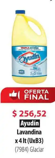 Parodi Ayudín Lavandina x 4lt oferta