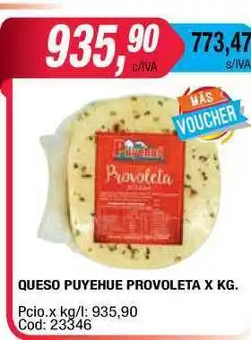 Maxiconsumo Queso Puyehue Provoleta oferta