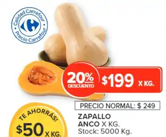 Carrefour ZAPALLO ANCO X KG. oferta