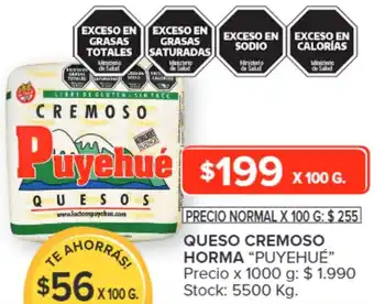 Carrefour QUESO CREMOSO HORMA X 100 G. "PUYEHUÉ” oferta