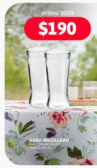 Supermercados Tadicor VASO RIGOLLEAU PUB X 300 ML PALETA oferta