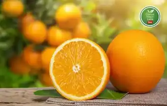 Supermercados DIA NARANJA JUGO X KG. oferta