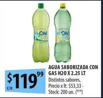 Punto Mayorista Agua Saborizada Con Gas H2o x 2.25lt oferta