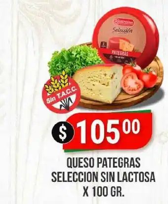 Supermercados Mayor Queso Pategras Seleccion Sin Lactosa x 100gr oferta