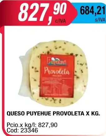 Maxiconsumo Provoleta Queso Puyehue x kg oferta