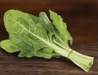 Coto ACELGA, X PAQ. oferta