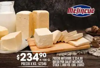 Coto QUESO POR SALUT MELINCUE, X 100 G. oferta