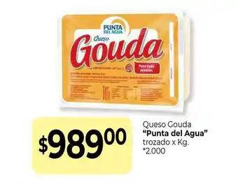 La Anonima Queso Gouda Punta Del Agua Trozado oferta