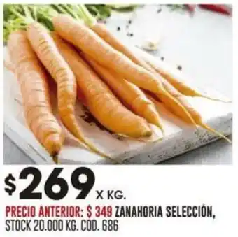 Coto ZANAHORIA SELECCIÓN oferta