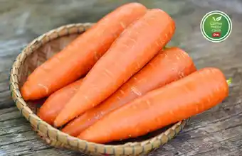 Supermercados DIA ZANAHORIA X KG. oferta