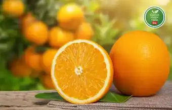 Supermercados DIA NARANJA JUGO X KG. oferta