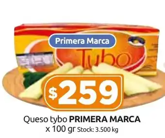 Queso tybo PRIMERA MARCA x 100 gr