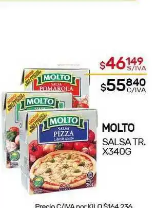 Nini Mayorista Molto Salsa TR. x 340g oferta