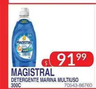 Masivos Magistral Detergente Marina Multiuso 300c oferta