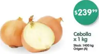 Supermercados Buenos Días Cebolla x 1 kg oferta