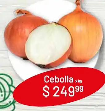 Makro Cebolla x kg oferta