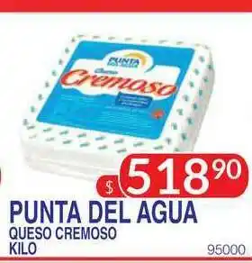Masivos Punta Del Agua Queso Cremoso oferta