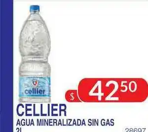Masivos Cellier Agua Mineralizada Sin Gas 2l oferta