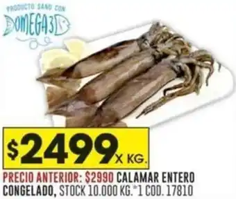 Coto CALAMAR ENTERO CONGELADO, X KG. oferta