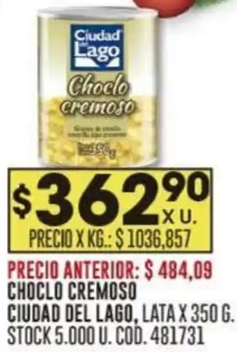 Coto CHOCLO CREMOSO CIUDAD DEL LAGO, LATA X 350G oferta