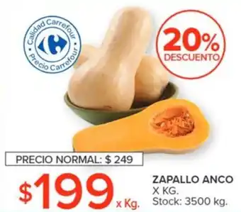 Carrefour ZAPALLO ANCO X KG. oferta