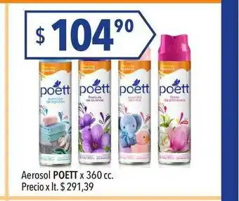Hergo Aerosol Poett x 360cc oferta