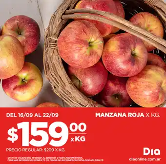 Supermercados DIA Manzana Roja x kg oferta