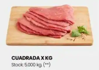 Changomas CUADRADA X KG oferta