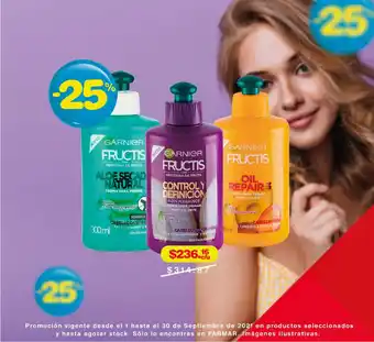 Garnier Fructis