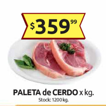 Cordiez Paleta de Cerdo x kg oferta