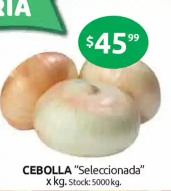 Cordiez Cebolla Seleccionada xkg oferta