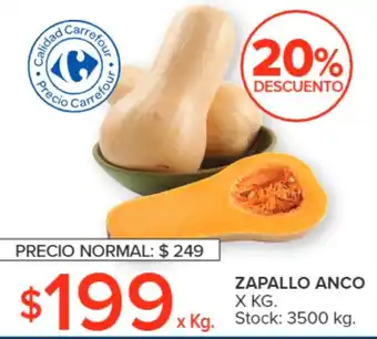 Carrefour ZAPALLO ANCO X KG oferta