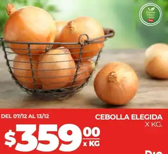 Supermercados DIA CEBOLLA ELEGIDA X KG oferta